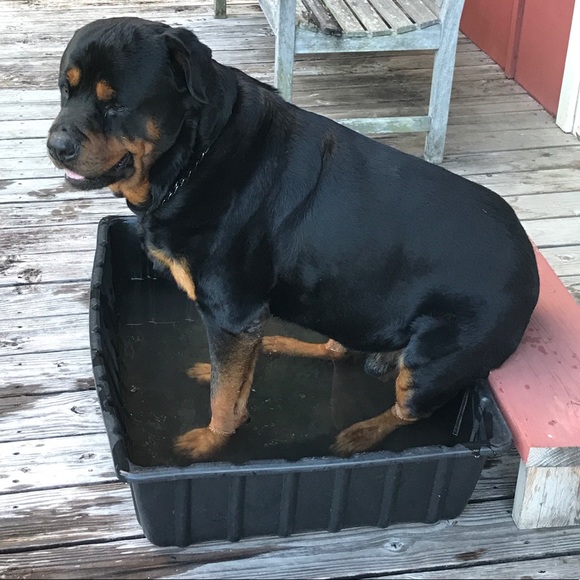 Meet your Posher, Jeff - Picture 1 of 1